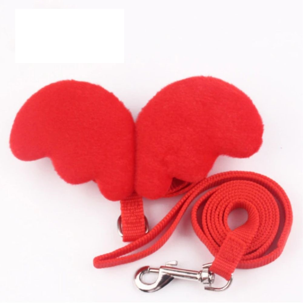 Rabbit harness