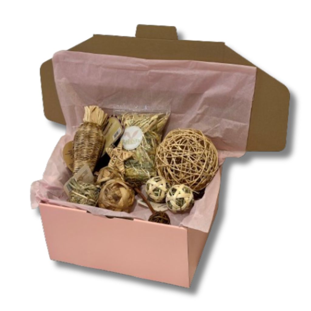 Bunny Chew Toys bundle