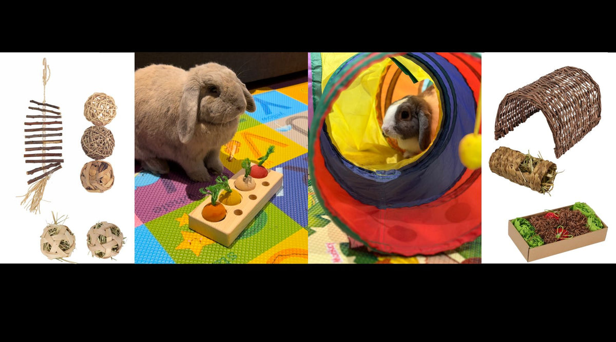Rabbit Toys – Rabbits Down Under
