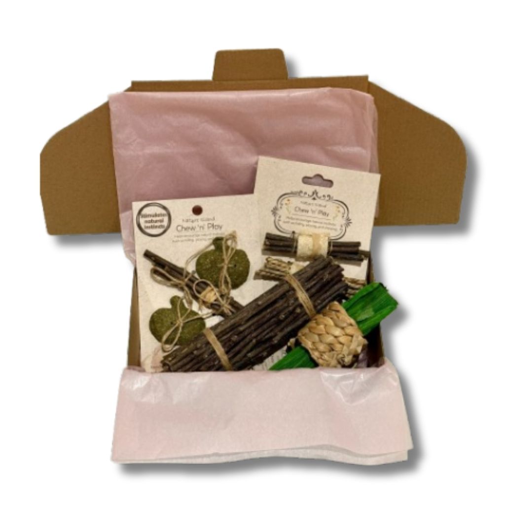 Apple Sticks Rabbit Chew Toy Bundle