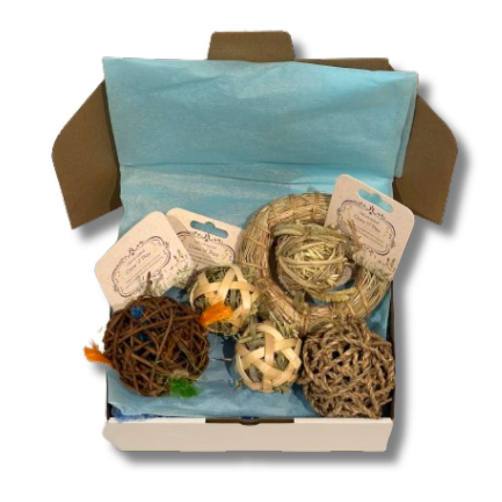 Rabbit Toys Chew toys