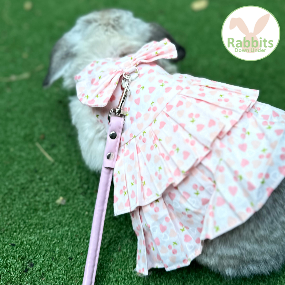 Rabbit Harness Dress – Rabbits Down Under