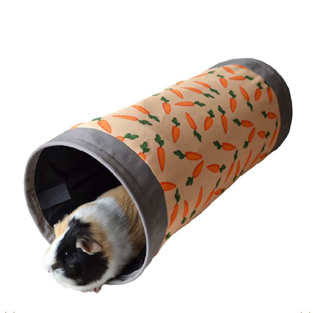 Carrot Fabric Tunnel