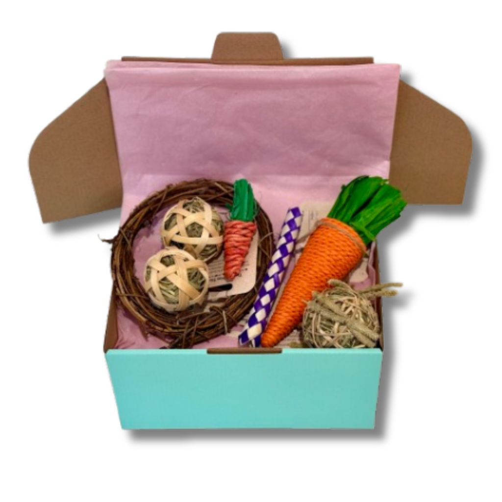 Chewtopia Bundle