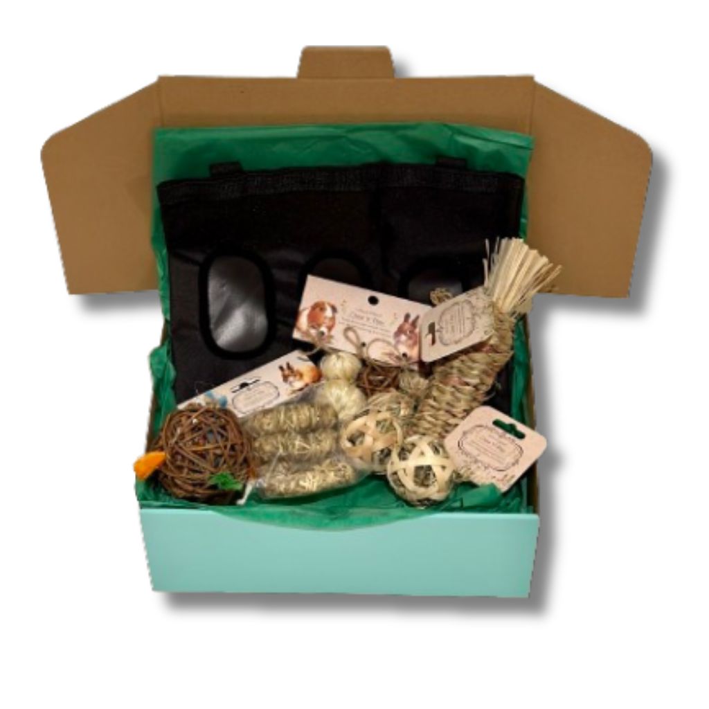 Rabbit toy bundle for enrichment, play and various interactive toys.