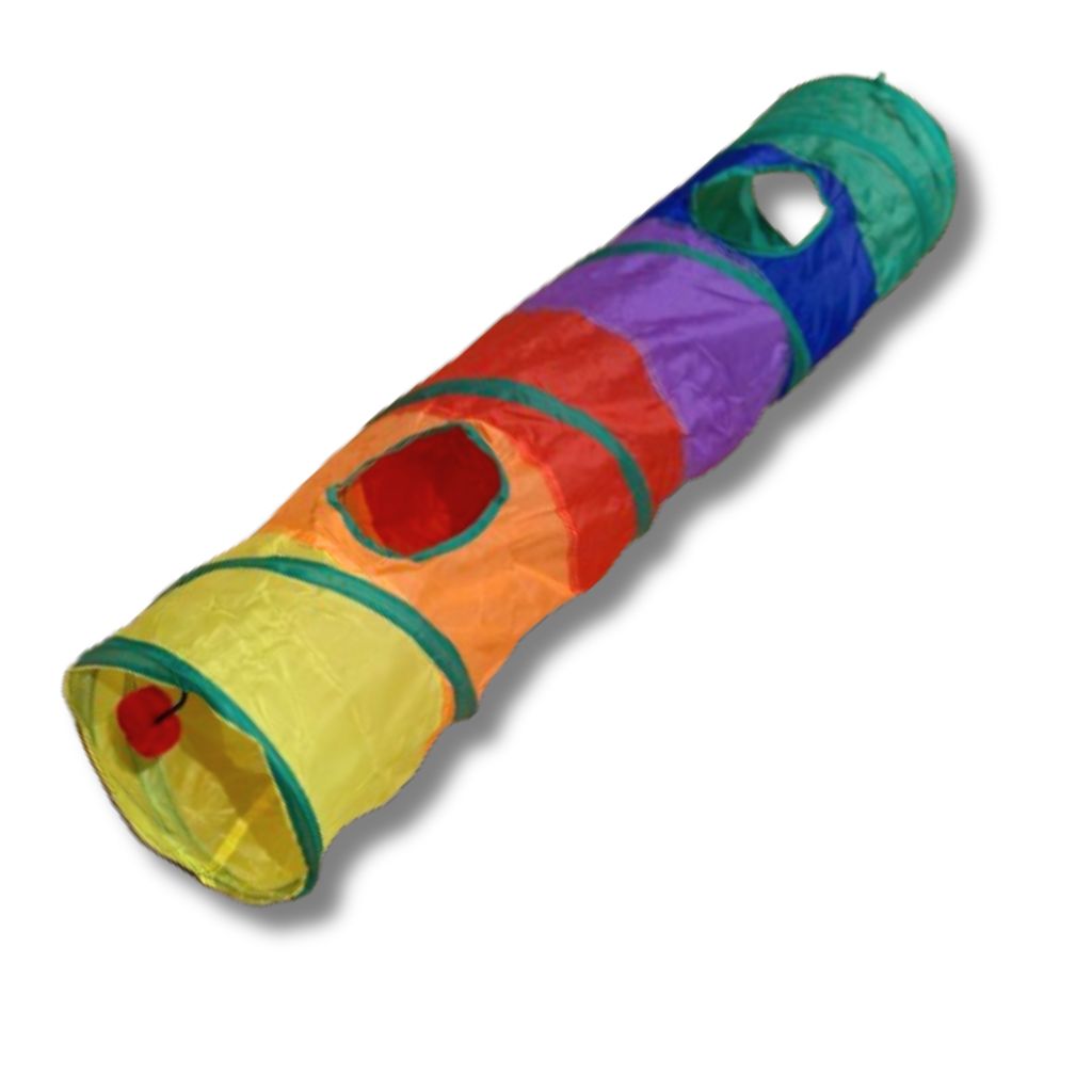 Rainbow Bunny Tunnel
