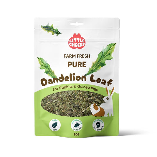 Dandelion leaf for rabbits and guinea pigs | Treats