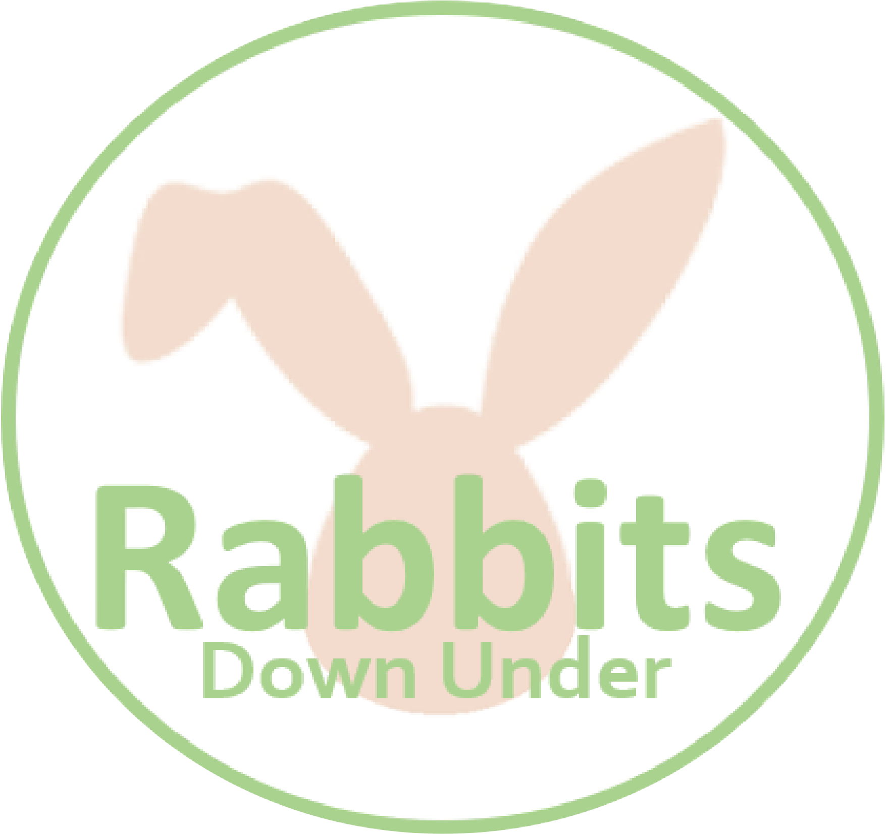 Top-Rated Rabbit Toys Australia: Boredom Busters & Enrichment Fun ...