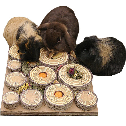 Maze a log treat challenge rabbit