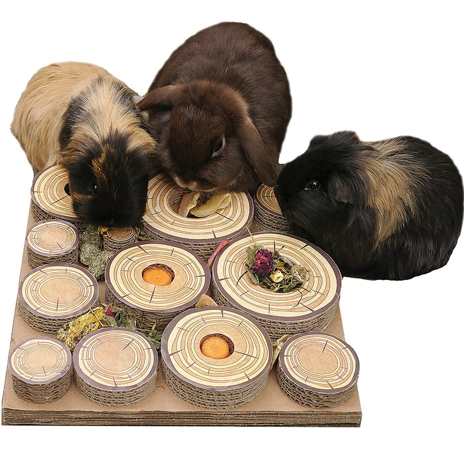 Maze a log treat challenge rabbit