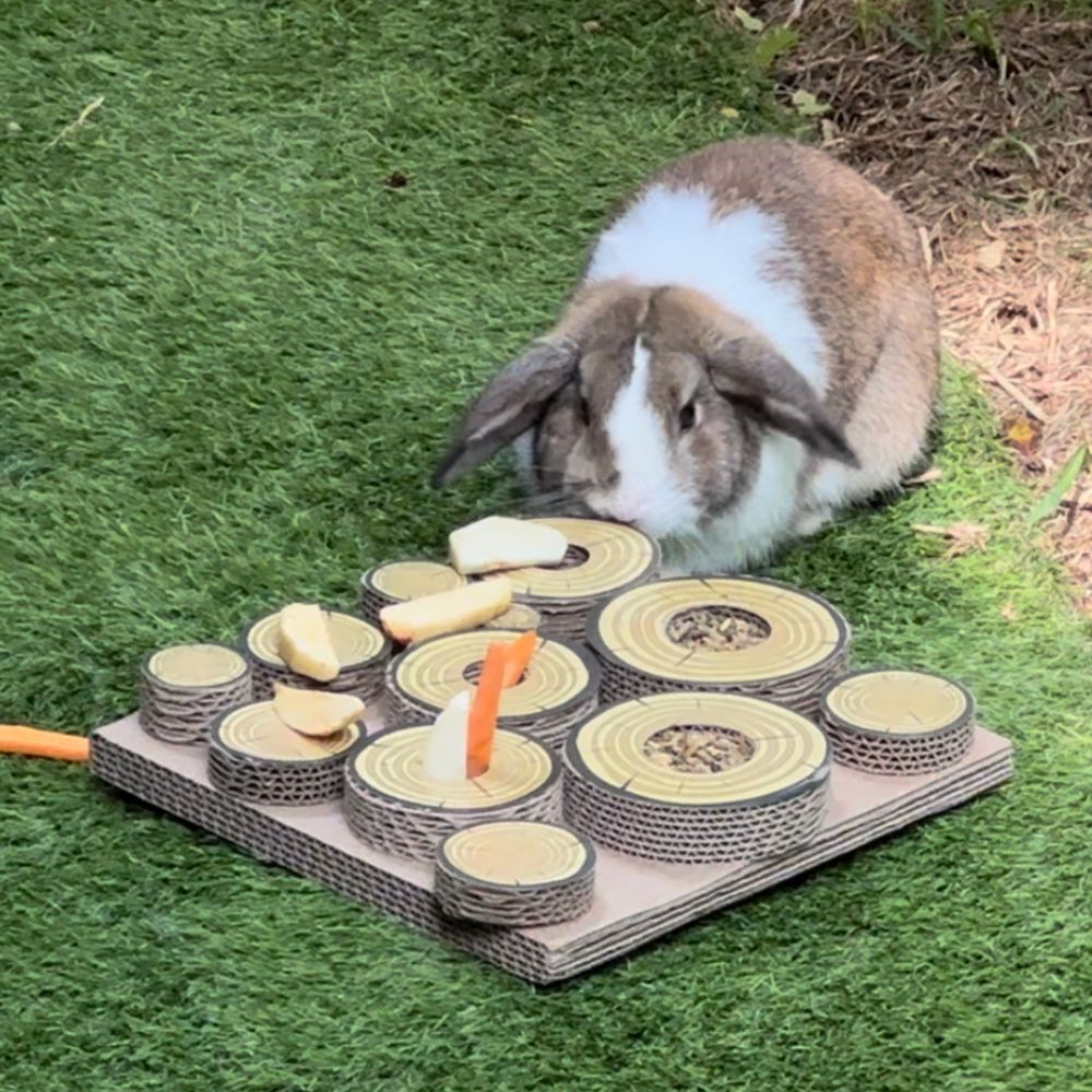 Maze-A-Log Treat Challenge – Rabbits Down Under