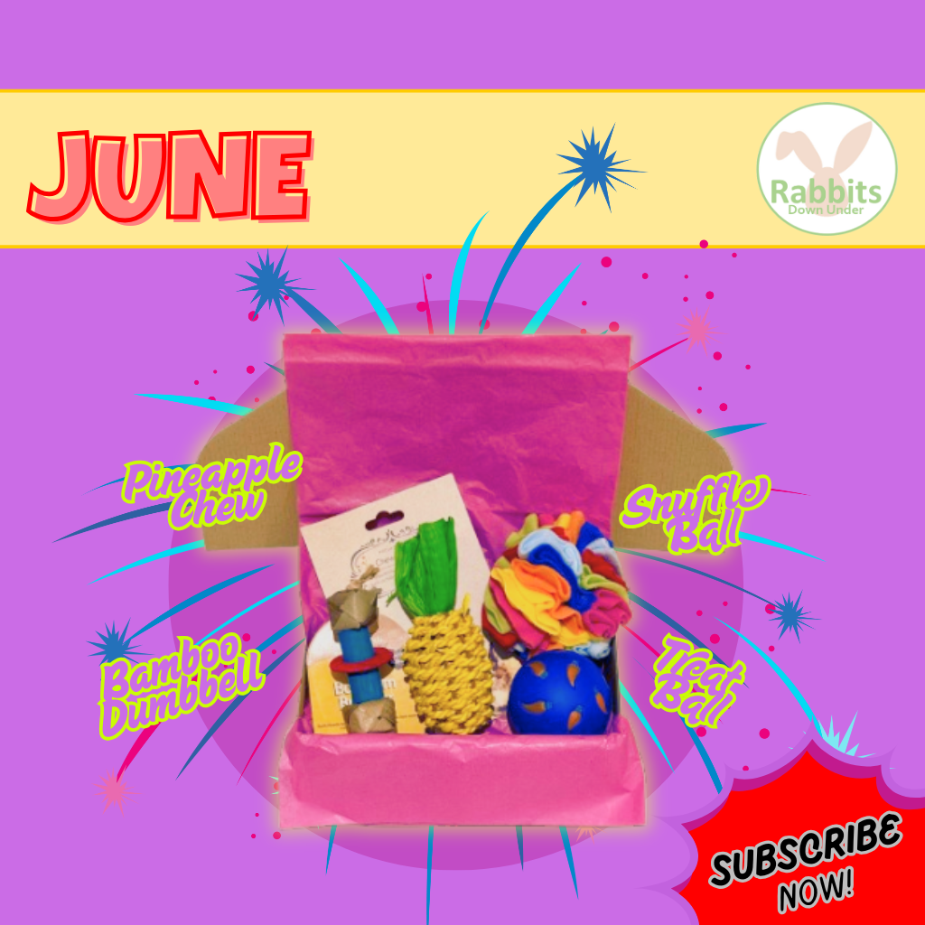 Rabbit Monthly Subscription Box