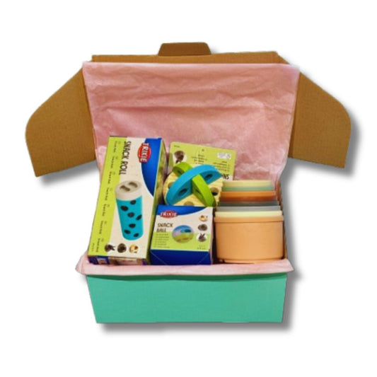 Collection of popular rabbit enrichment toys 