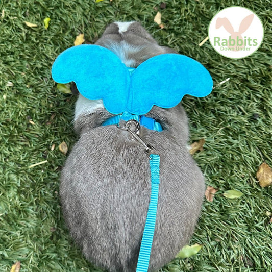 Rabbit harness wings