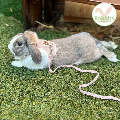 Cute Rabbit harness