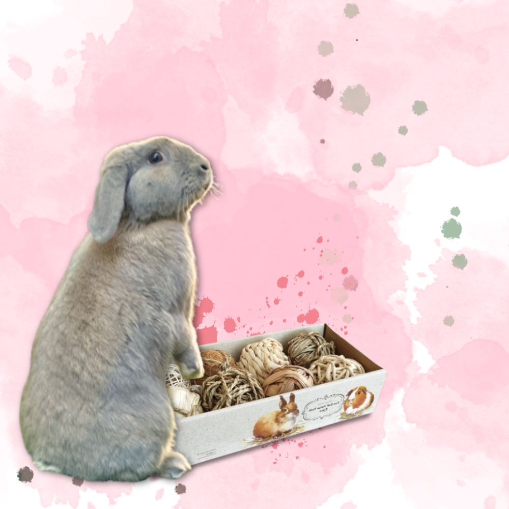 Natural Rabbit Toys