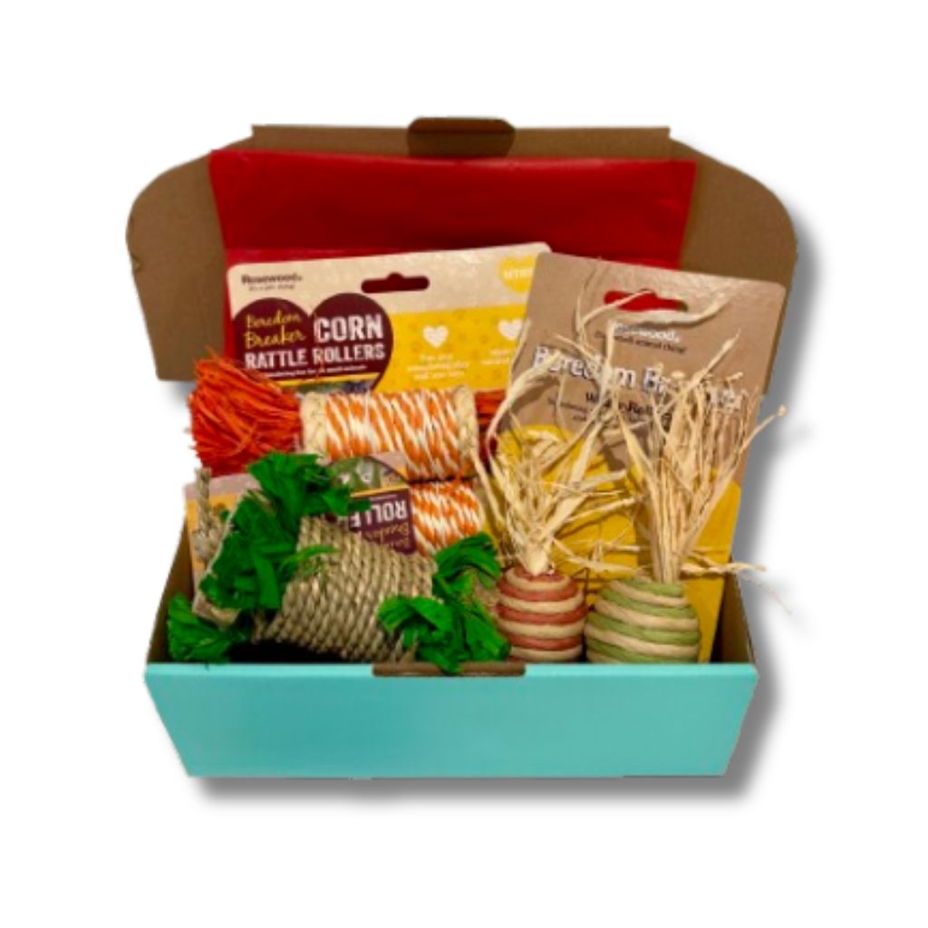 Rattle and Roll Fun Pack