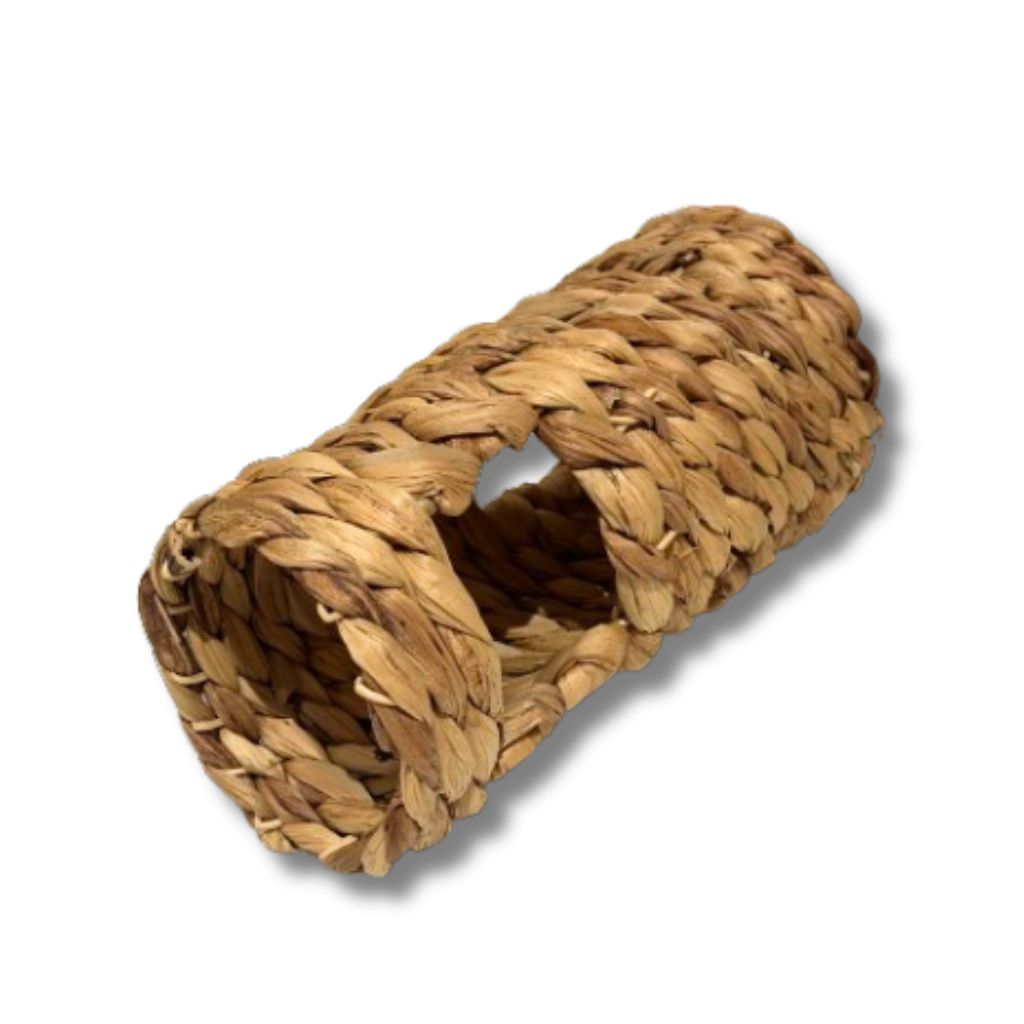 Foraging Hyacinth Roll Rabbit Toy