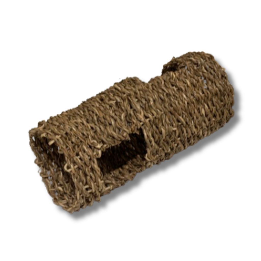 Foraging Seagrass Roll