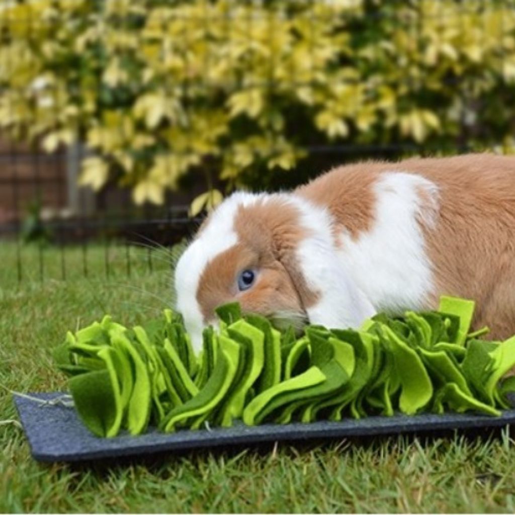 Snuffle Forage Mat Rabbit Toy