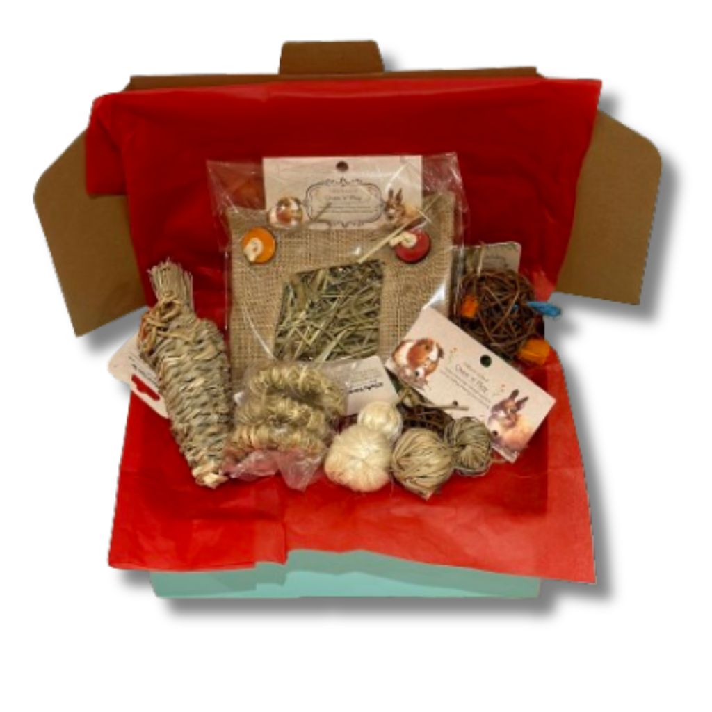 Wonder Box Rabbits Rabbits Wonderland Bundle Rabbit Toys – Rabbits Down Under