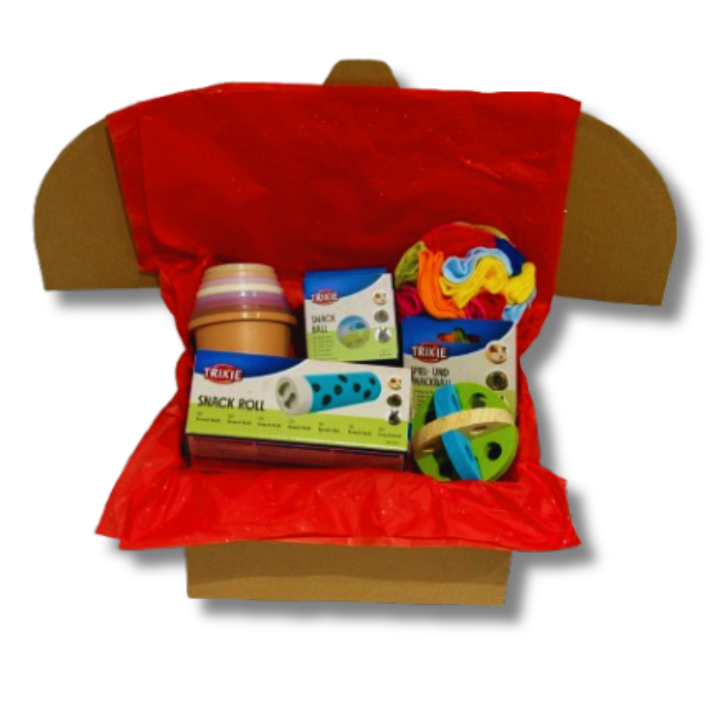 Bunny Explorer Pack rabbit enrichment toys presented in a gift box with stacking cups, treat toys and snuffle bal