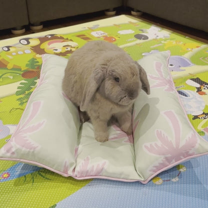 Bunny Bed Lap'n Lounger