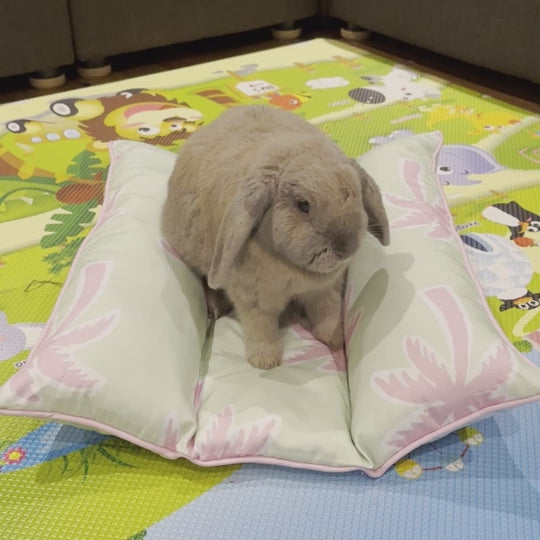 Bunny Bed Lap'n Lounger