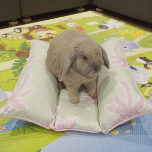 Bunny Bed Lap'n Lounger